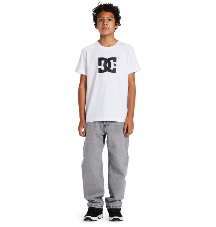 DC Youth Worker Baggy Jeans - Grey Wash