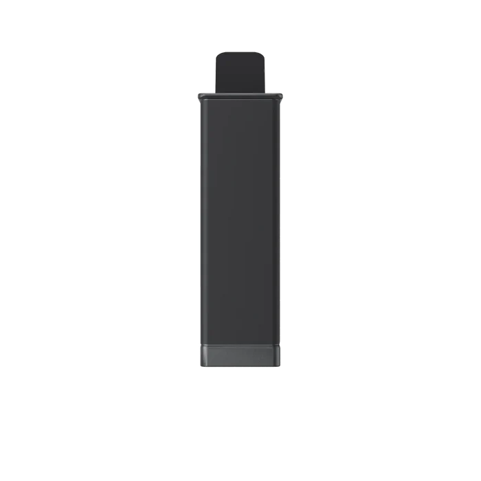 Insta360 X6 Extreme Battery