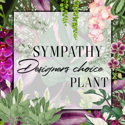 Floral design with text 'SYMPATHY Designers choice PLANT' surrounded by various flowers and leaves.