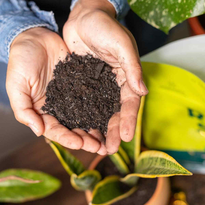 Rosy Soil | Soil being held by the handful.