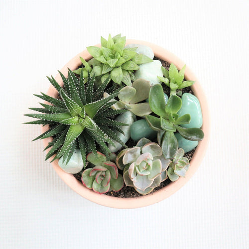 Succulent garden with a variety of succulents. With crystals accenting the garden in a pink pot.