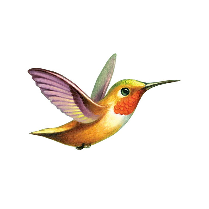 Hummingbird