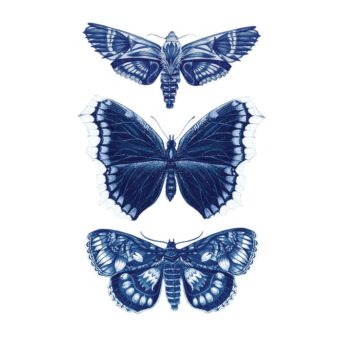 Sapphire Moths