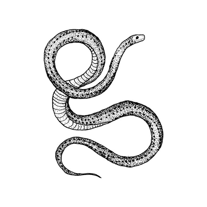 Serpent