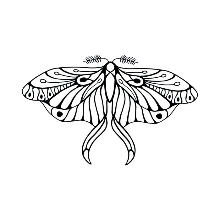 Mod Blk Butterfly